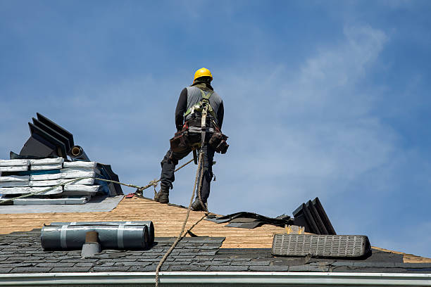 Professional Metal Roofing technician working in Albany, IL
